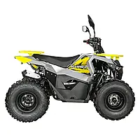 Квадроцикл MIKILON HAMMER 125 Об'єм 125 см³ шини-19х7-8"/18х9.5-8" 8 к.с. купити в інтернет-магазині дешево