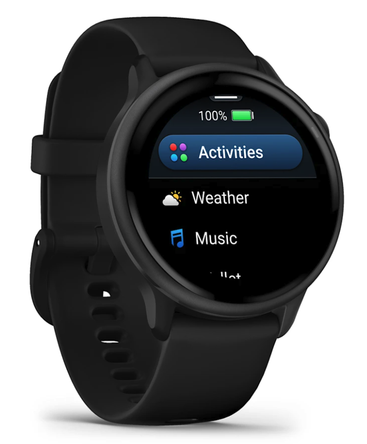 Смарт-годинник Garmin Vivoactive 6 Slate with Black Band