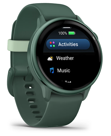 Смарт-годинник Garmin Vivoactive 6 Metallic Jasper Green with Jasper Green Band, фото 1