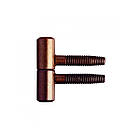 Завіса Otlav CF055130BN13(013)-CG055130BN13(013) бронза