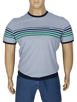 Чоловіча футболка на манжеті Caporicco 20086 B Buz Mavi