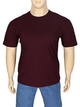 Чоловіча бордова футболка великого розміру Zinzolin Z-4225 Dark Red