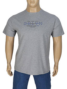 Сіра чоловіча футболка Turhan 550 B M.Gri великого розміру