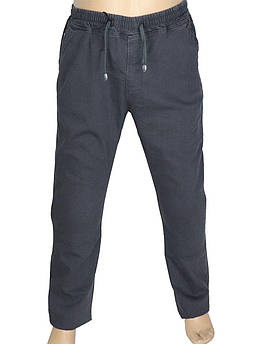 Стильні чоловічі сірі джинси Dekons 2106 Antrasit