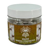 Міцелій Їжовика Гребінчастого (60 caps)