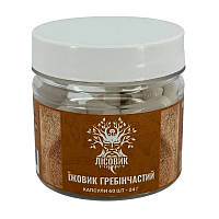 Їжовик Гребінчастий (60 caps)