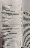 Книга Рейчел Сел Людина Багатомірна, фото 5