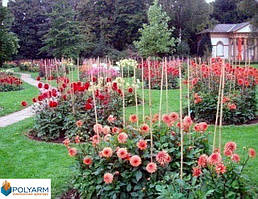 Все для саду, городу та дачі