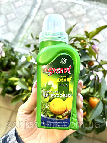 ДОБРИВО ДЛЯ ЦИТРУСОВИХ 250 МЛ АГРЕКОЛ 8.5.6 AGRECOL, фото 2