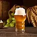 Набір келихів для пива Pasabahce Craft-Lager 435 мл 4 штуки 420685, фото 4