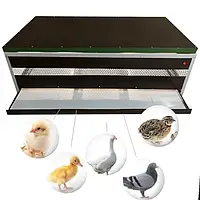 Брудери 2 в 1