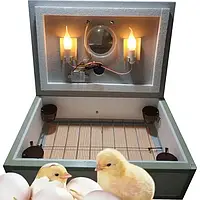 Інкубатори