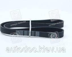 Ремінь поліклін. (вир-во DAYCO), арт.6PK1100, фото 1