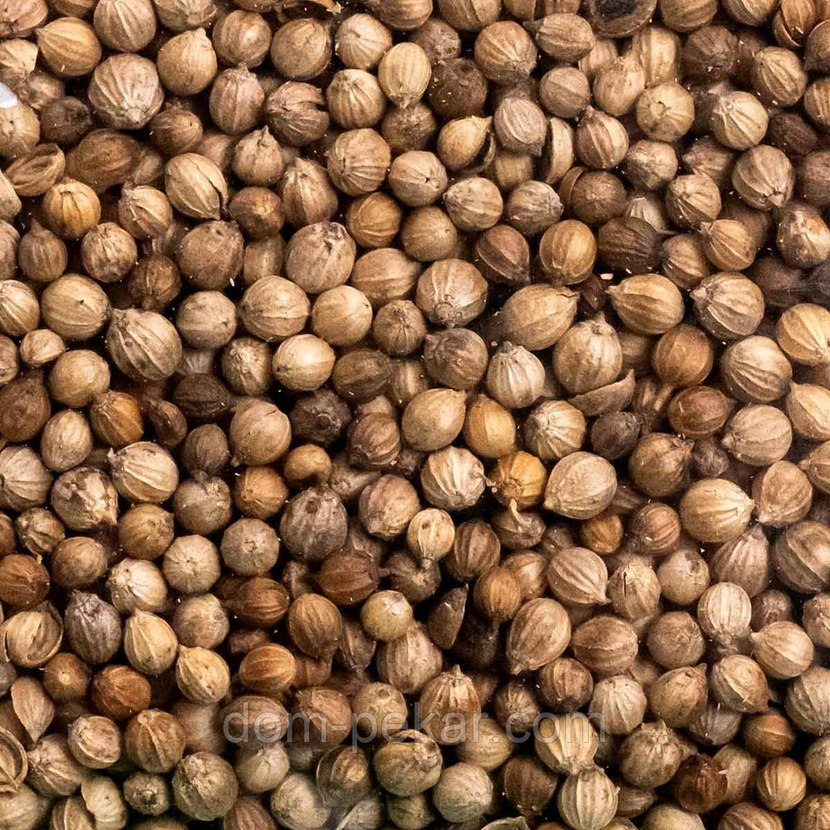 Коріандр горошок (25 г)