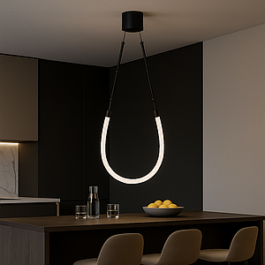 Дизайнерський підвісний світильник Nero Loop чорний корпус 13W (7813133-1 BK)