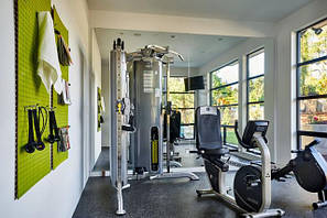 Sport