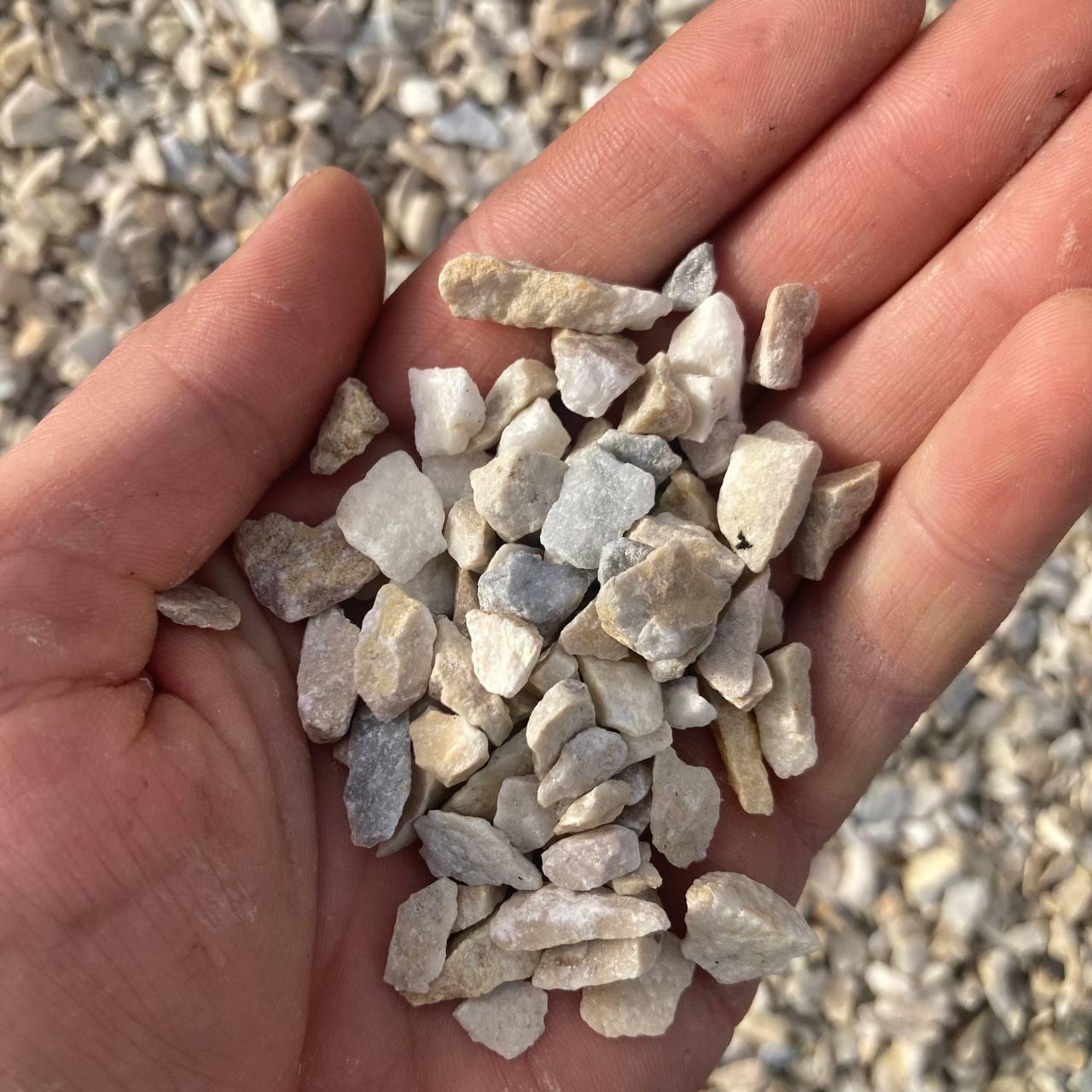 Мармурова крихта жовта, фото 1