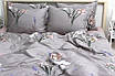 Комплект постільної білизни з компаньйоном S530, фото 4