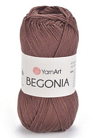 Begonia Yarnart