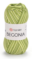 Begonia melange Yarnart