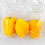 Вакуумний пакувальник SCANDIVAC STP 21-42 РК-екран/принтер, фото 4