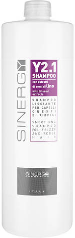 Шампунь для розгладження неслухняного волосся Sinergy Y2.1 Smoothing Shampoo, 1000 мл (8033745721116), фото 1