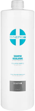 Шампунь для жирної шкіри голови Sinergy Regulating Shampoo, 1000 мл (8033745722090), фото 1