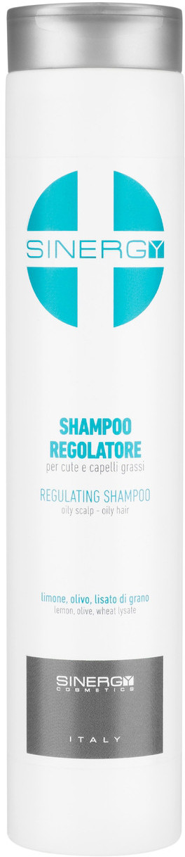 Шампунь для жирного волосся Sinergy, 250 мл (8033745722106)