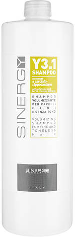 Шампунь для об'єму тонкого волосся Sinergy Y3.1 Volumizing Shampoo, 1000 мл (8033745721130), фото 1