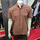 Сорочка чоловіча картата короткий рукав 2XL коричнева, фото 5