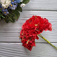 Хризантема червона на ніжках