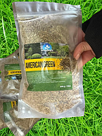 Газонна трава American Green насіння для газону насіння трави для саду 200 г