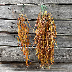 Штучний кущ водорослі поморанчеві  90 см