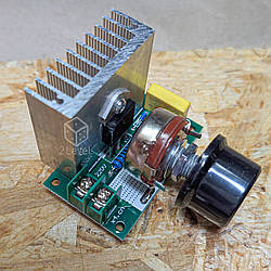 Блок керування 3,8 кВт Потужний симісторний регулятор напруги 3800 Регулятор обертів плата для двигуна