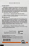 Кавун Крісбі F1 10 шт Агропак (Nunhems), фото 3