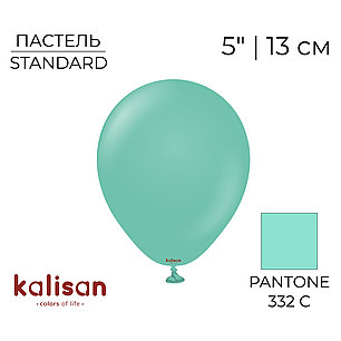KALISAN-КЛ 5" 19 Пастель Аквамариновий | Standard Sea Green, фото 1