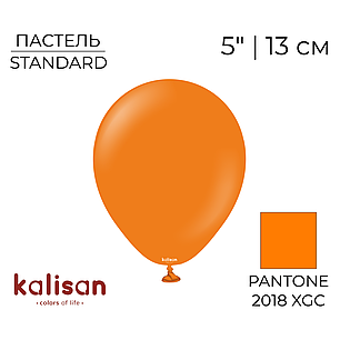 KALISAN-КЛ 5" 25 Пастель Помаранчевий | Standard Orange, фото 1