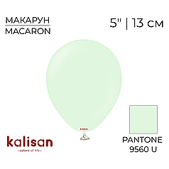 KALISAN-КЛ 5" 05 Макарун Блідо-зелений | Macaron Pale Green