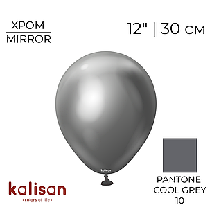 KALISAN-КЛ 12" 109 Хром Сірий | Mirror Space Grey, фото 1