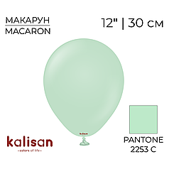 KALISAN-КЛ 12" 11 Макарун Зелений | Macaron Green