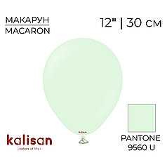 KALISAN-КЛ 12" 05 Макарун Блідо-зелений | Macaron Pale Green