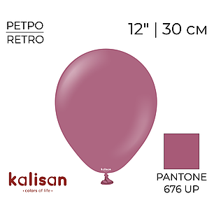 KALISAN-КЛ 12" 15 Ретро Дика Ягода | Retro Wild Berry, фото 1