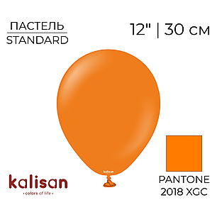 KALISAN-КЛ 12" 25 Пастель Помаранчевий | Standard Orange, фото 1