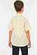 Рубашка детская мальчик кремовая 148841K - фото 3 - id-p2614264065