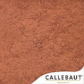 Какао порошок Barry Callebaut алкалізований 10-12% DCP-10R118 (вага) (100 г.)