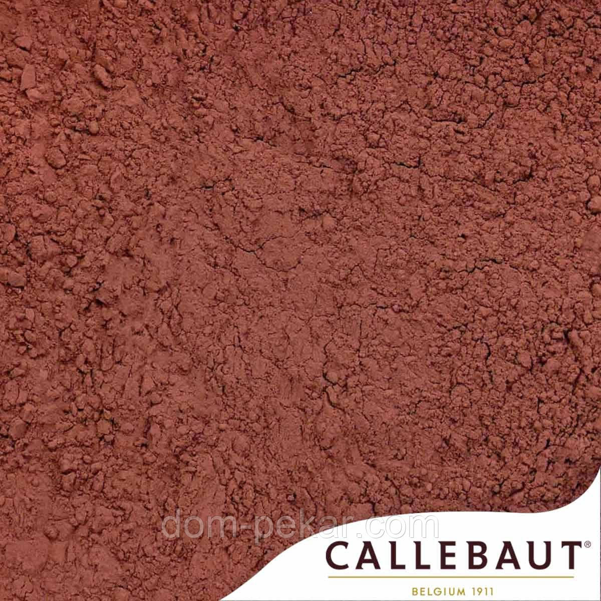 Какао порошок Barry Callebaut алкалізований повножирний 22-24% (вага) (100 г.)