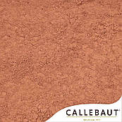 Какао порошок Barry Callebaut натуральний 10-12% NCP-10C101 (вага) (100 г.)