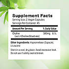 Nested Naturals Choline Bitartrate 500mg 90 Vegan Capsules, фото 3