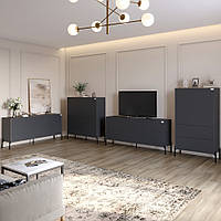 Комплект меблів для вітальні LION Амарант 4 елементи з чорними металевими ніжками Антрацит/Графітовий (LION-042241)