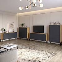 Комплект меблів для вітальні LION Амарант 4 елементи з чорними металевими ніжками Дуб Артизан/Графітовий (LION-042275)